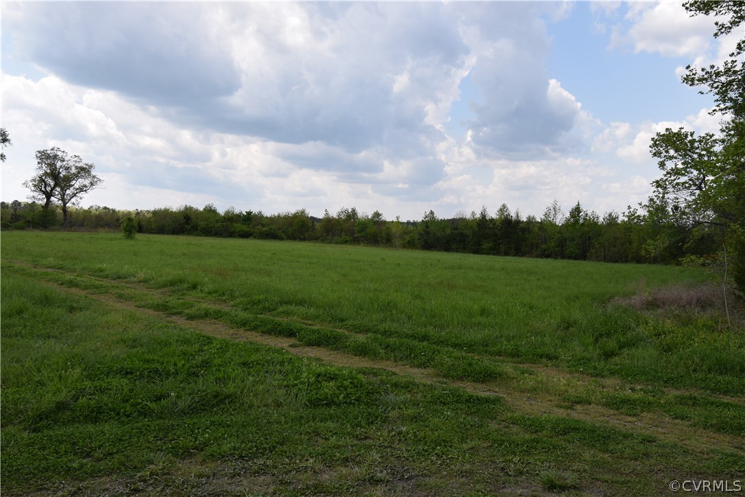 14837 Cox Road Sutherland, VA 23833 - Photo 42 of 45 Gallery Image 42