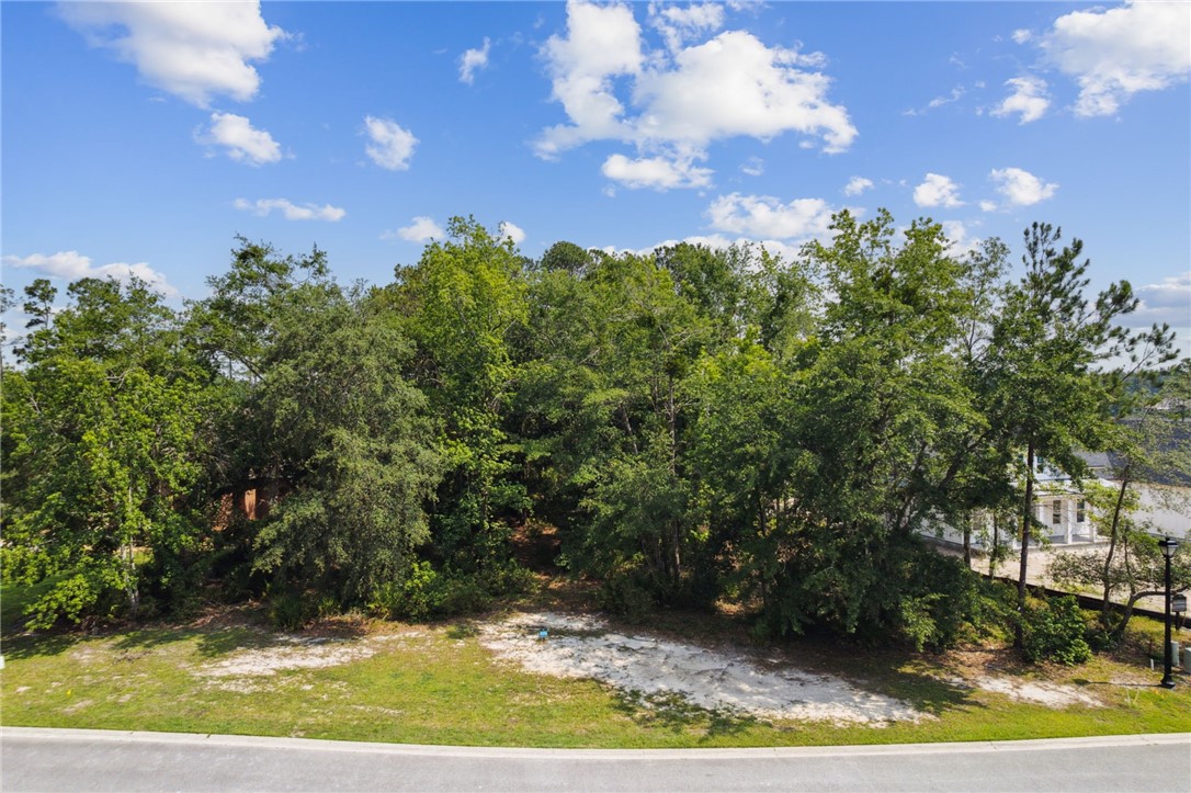 0 Isles Of Saint Marys Way St. Marys, GA 31558 - Photo 23 of 53