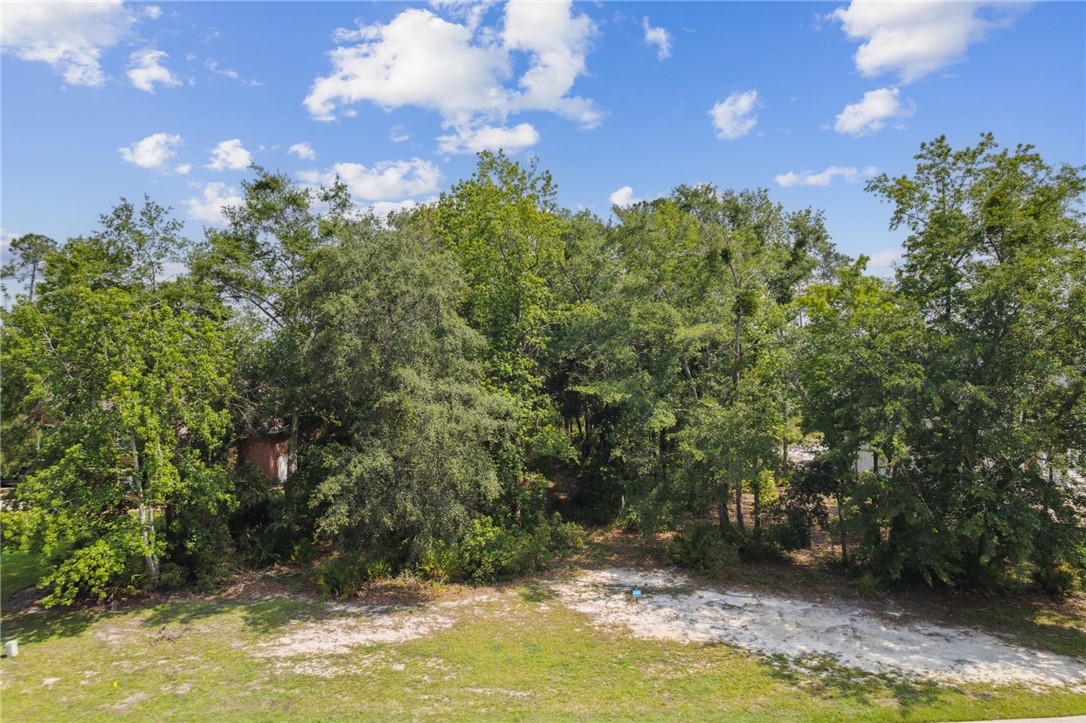 0 Isles Of Saint Marys Way St. Marys, GA 31558 - Photo 24 of 53