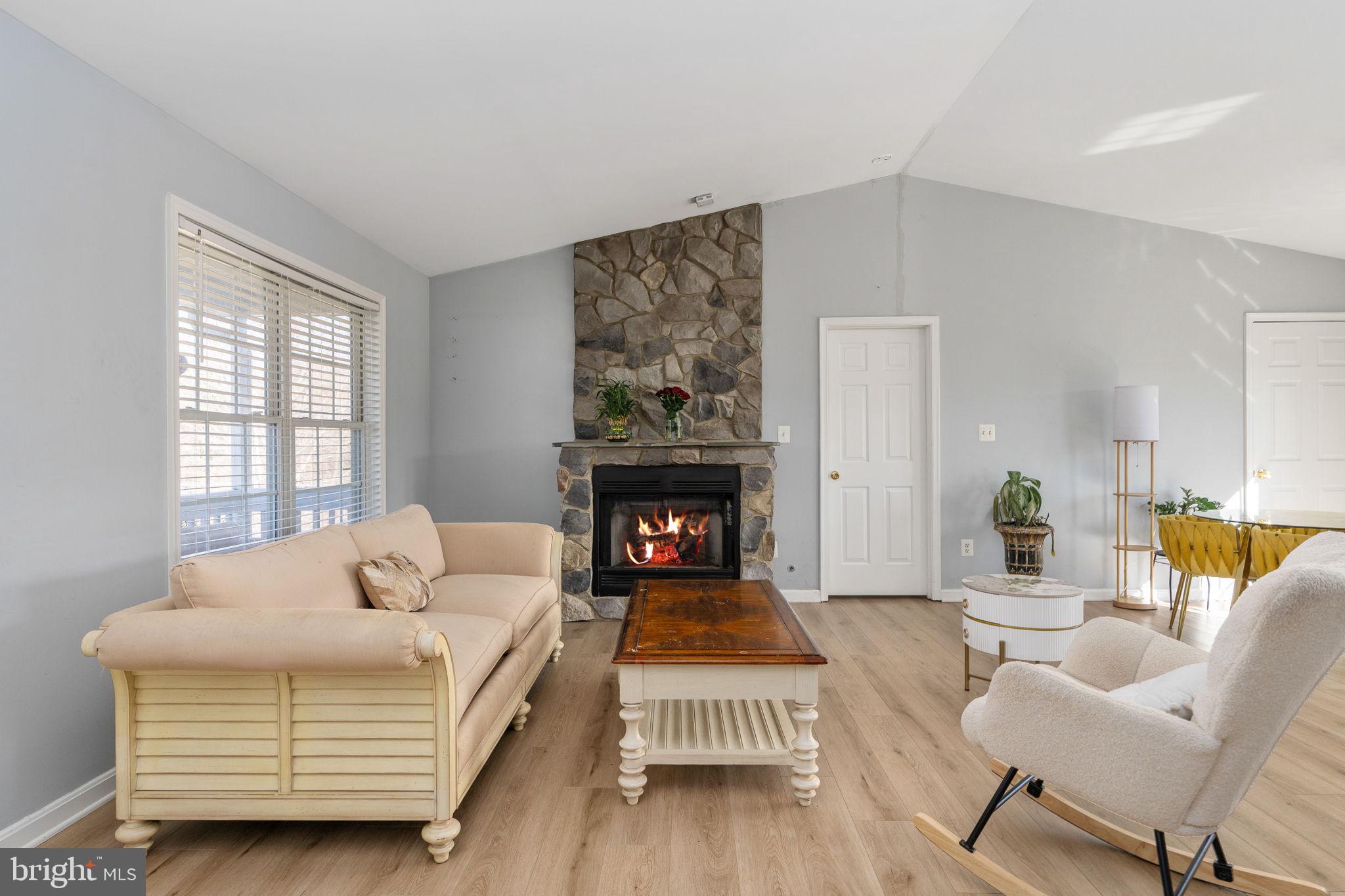 7541 Eggbornsville Road Rixeyville, VA 22737 - Photo 3 of 61 a living room with furniture a fireplace and next to a window