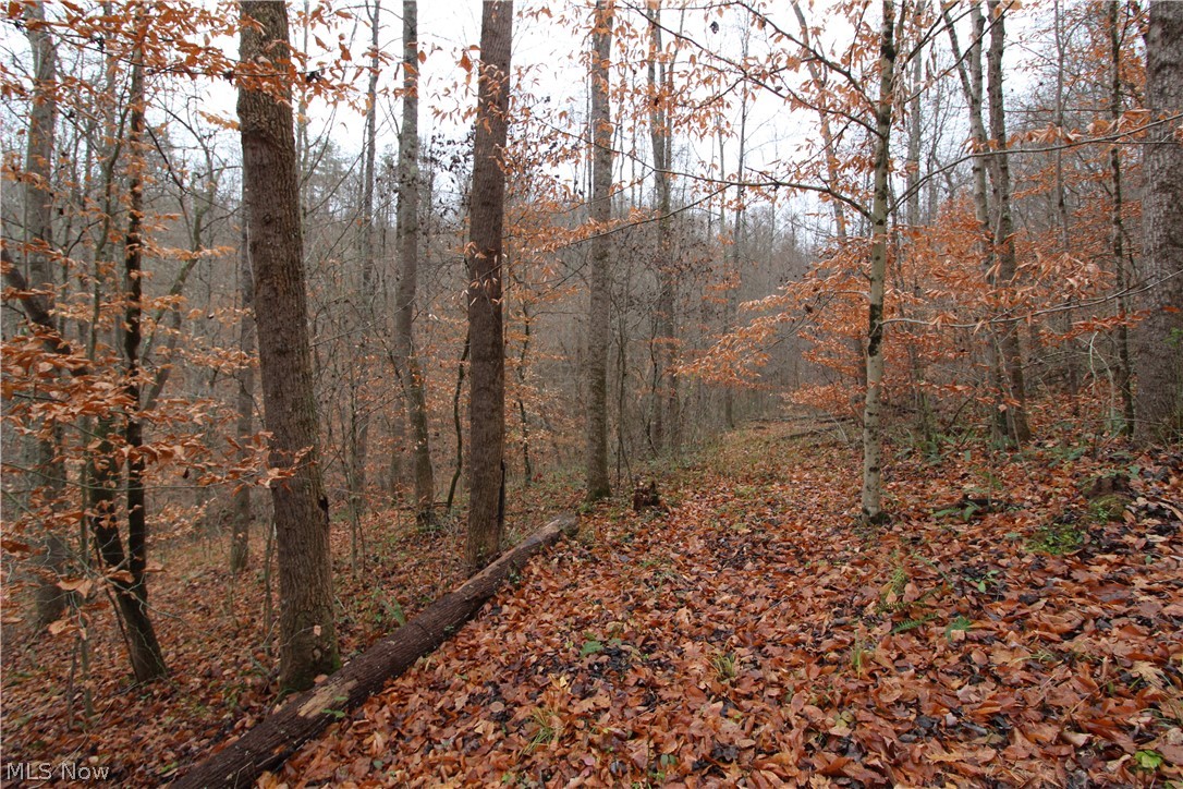 Wilson Run Road New Matamoras, OH 45767 - Photo 9 of 34 Gallery Image 9