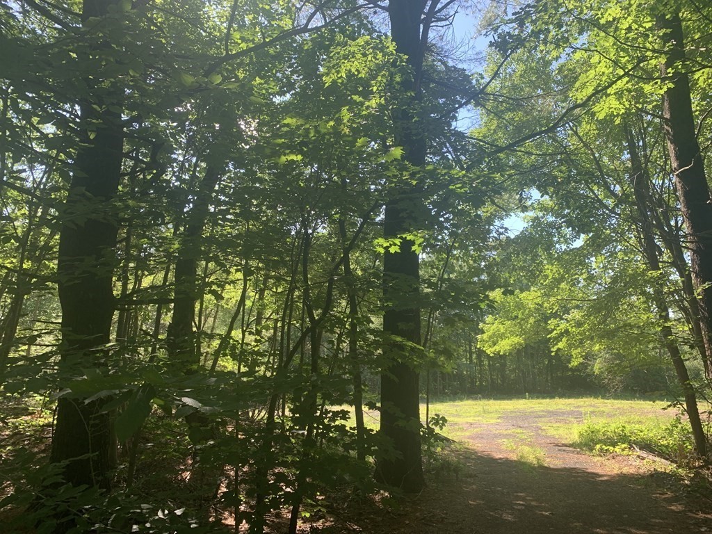143 Turkey Hill Road Rutland, MA 01543 - Photo 1 of 5