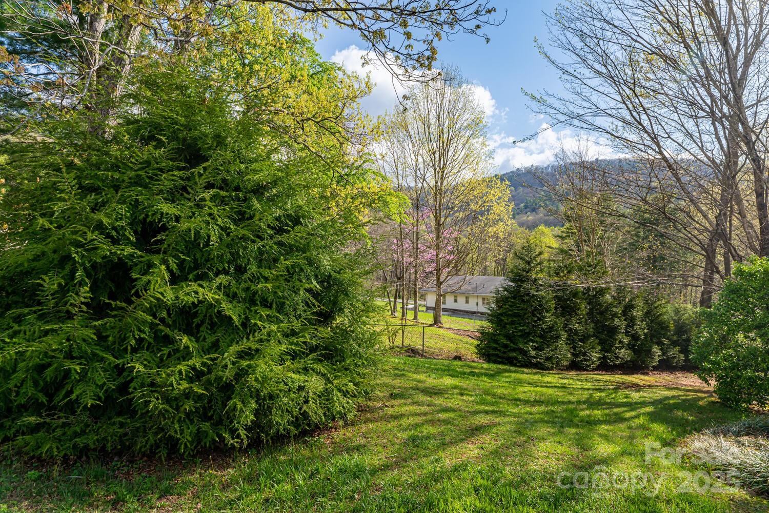 121 Shadowbrook Drive Asheville, NC 28805 - Photo 2 of 32 a view of a big yard with large trees