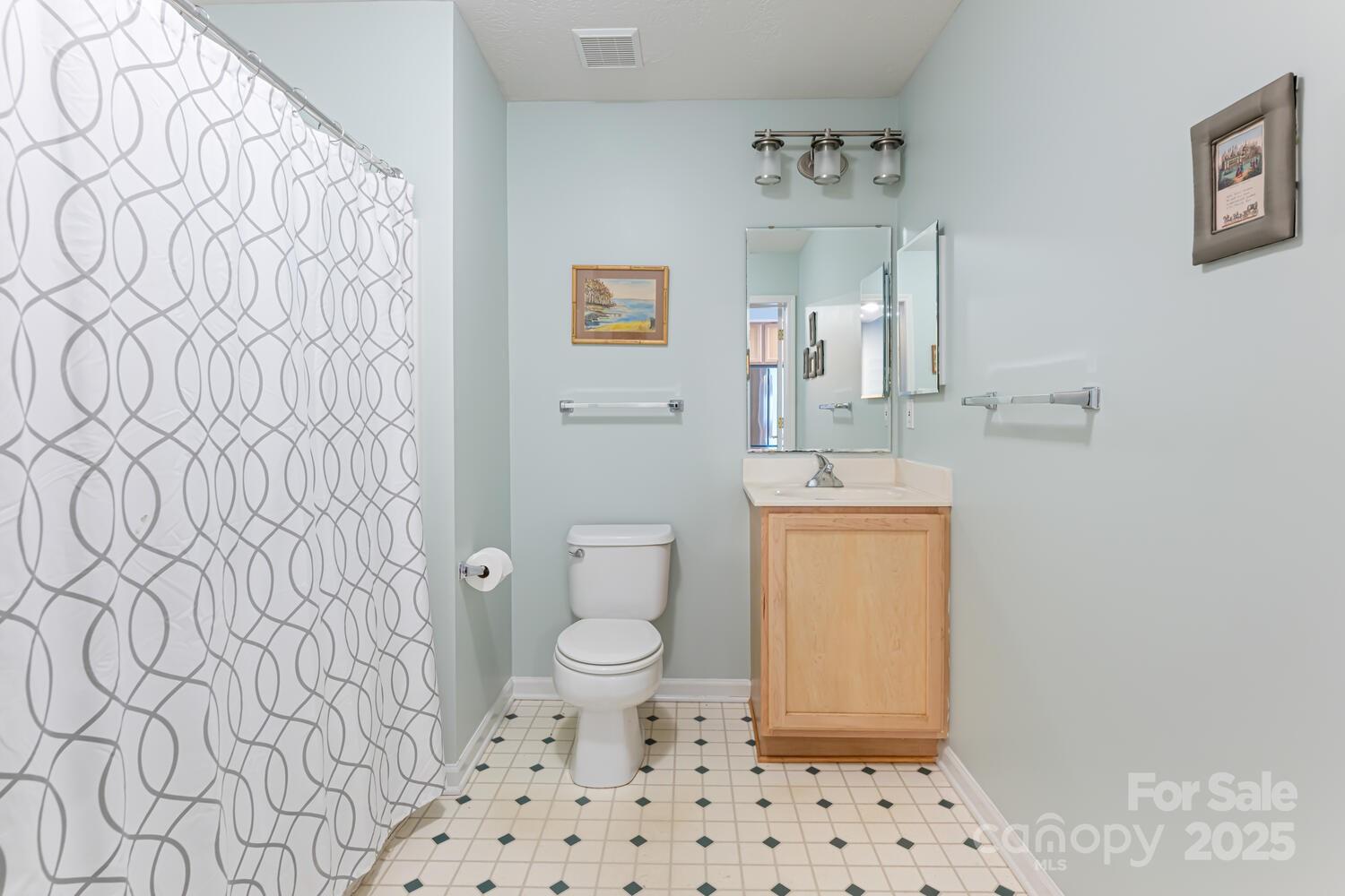 121 Shadowbrook Drive Asheville, NC 28805 - Photo 24 of 32 a bathroom with a sink a toilet and a mirror