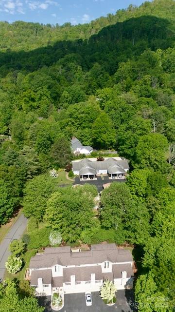 121 Shadowbrook Drive Asheville, NC 28805 - Photo 3 of 32 a view of a city with lush green forest