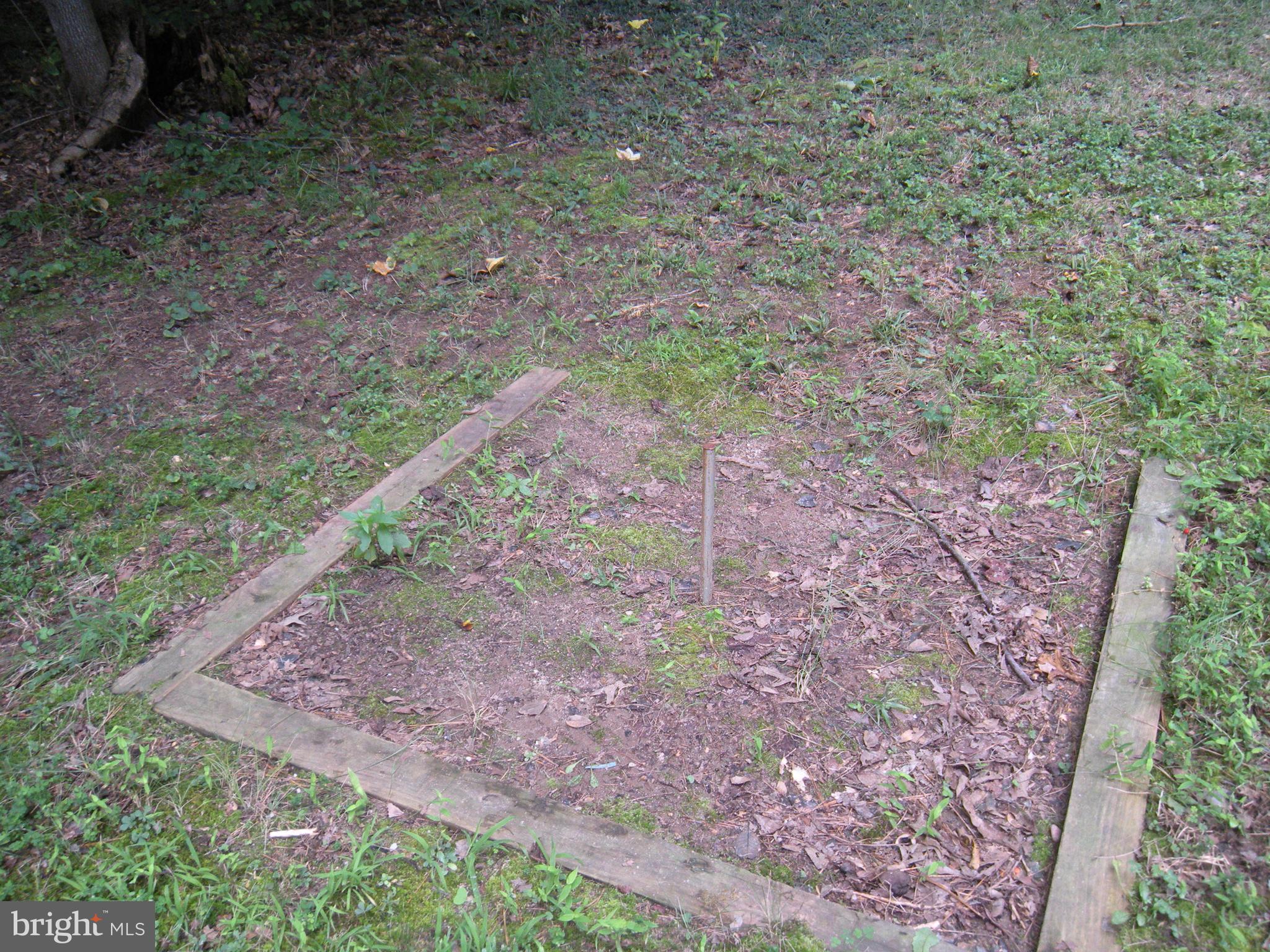 539 Redground Drive Ruther Glen, VA 22546 - Photo 28 of 49 Horseshoe pits