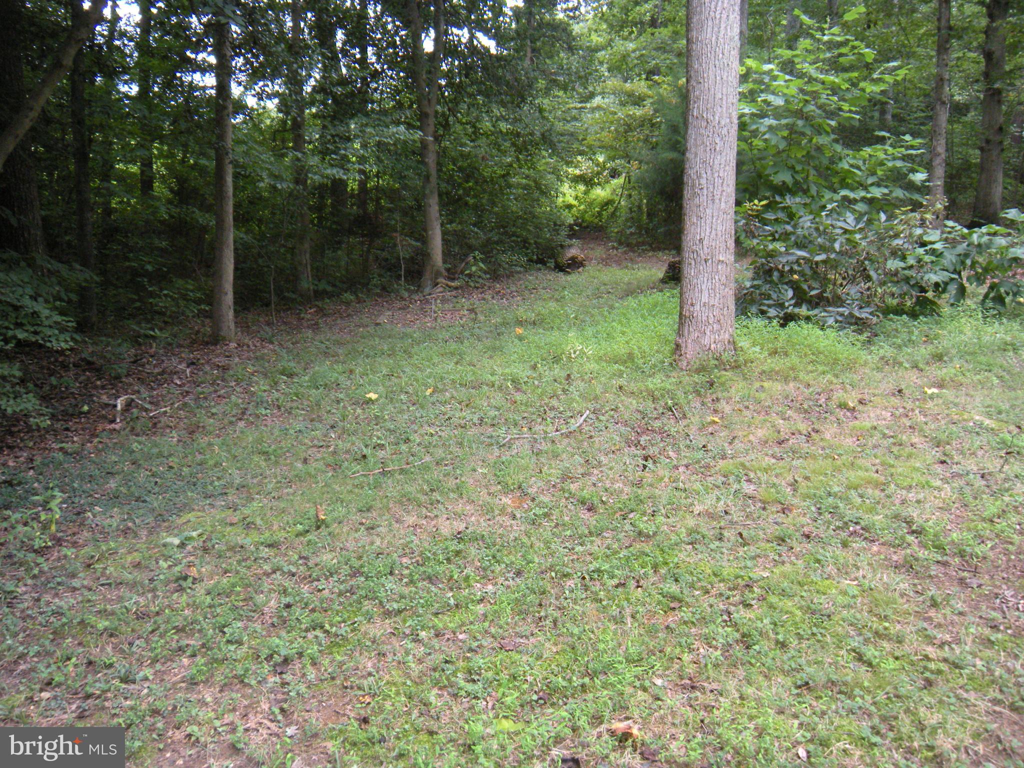 539 Redground Drive Ruther Glen, VA 22546 - Photo 29 of 49 Walking Path to Pond at back of property