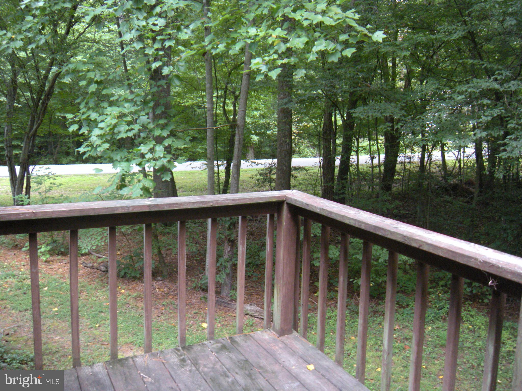 539 Redground Drive Ruther Glen, VA 22546 - Photo 32 of 49