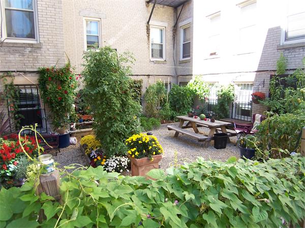 8 Ransom Road, Unit 10 Boston, MA 02135 - Photo 11 of 12 Gallery Image 11