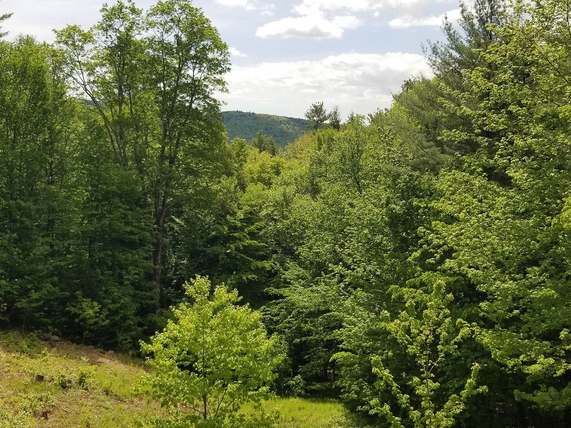 24 Mowrey Road Jamaica, VT 05343 - Photo 8 of 22