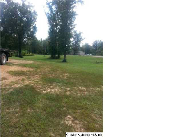 14329 Rockhouse Road Brookwood, AL 35444 - Photo 21 of 21