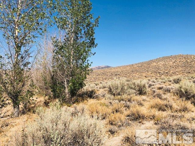 16550 Dry Valley Road Reno, NV 89508 - Photo 16 of 22 Photo 17