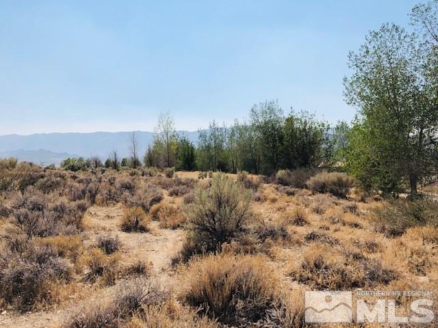 16550 Dry Valley Road Reno, NV 89508 - Photo 19 of 22 Photo 20