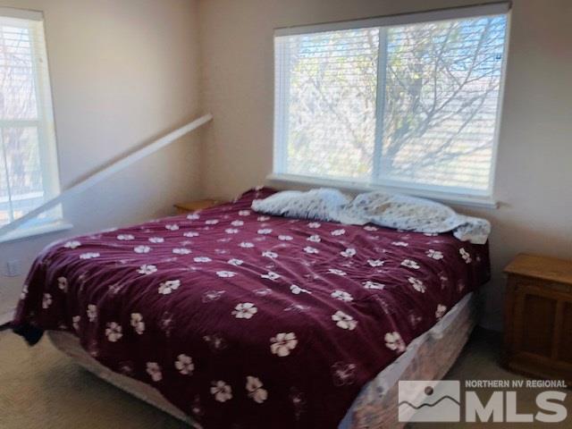 16550 Dry Valley Road Reno, NV 89508 - Photo 10 of 22 Photo 10