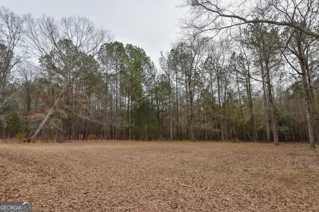 $499,000 | 276 Head Street, Zebulon, GA 30295