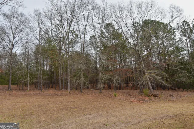 $499,000 | 276 Head Street, Zebulon, GA 30295