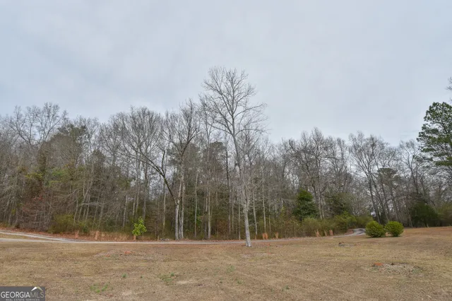 $499,000 | 276 Head Street, Zebulon, GA 30295