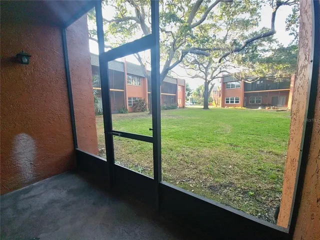 a view of backyard from window