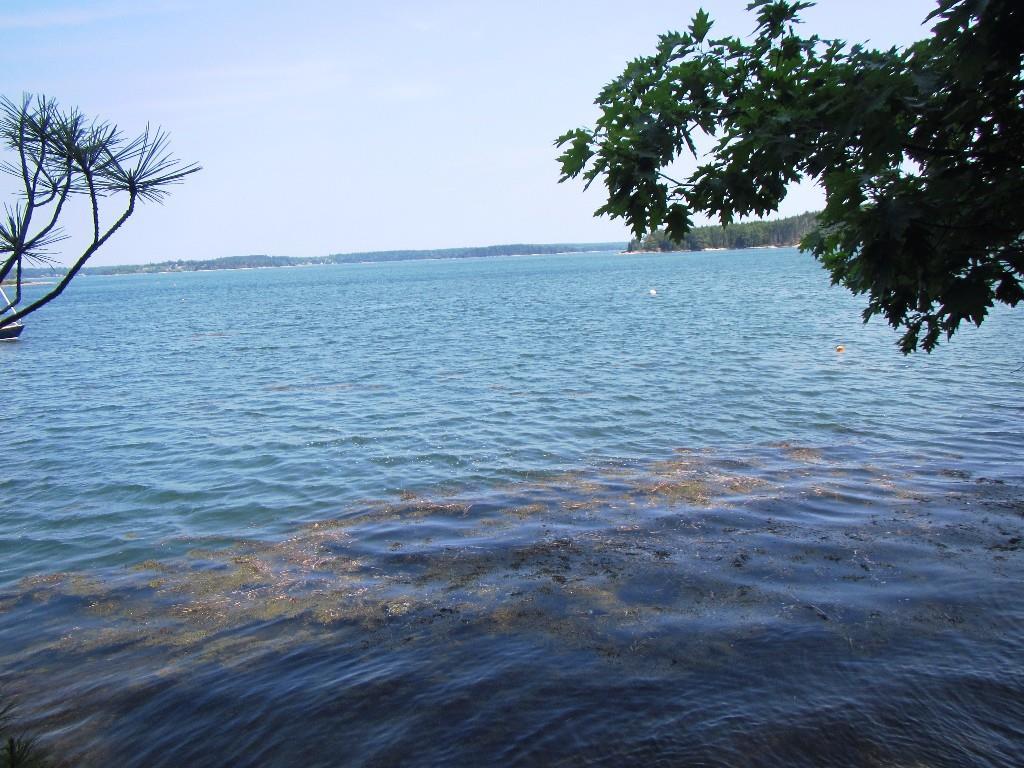 67 Brooks Point Road Westport Island, ME 04578 - Photo 8 of 22 Photo