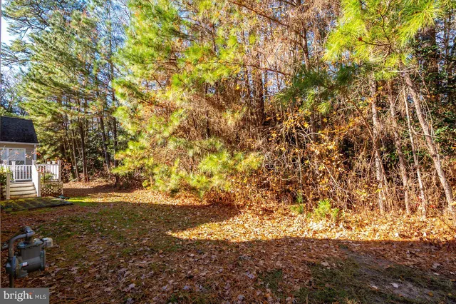 a view of yard with green space and trees all around
