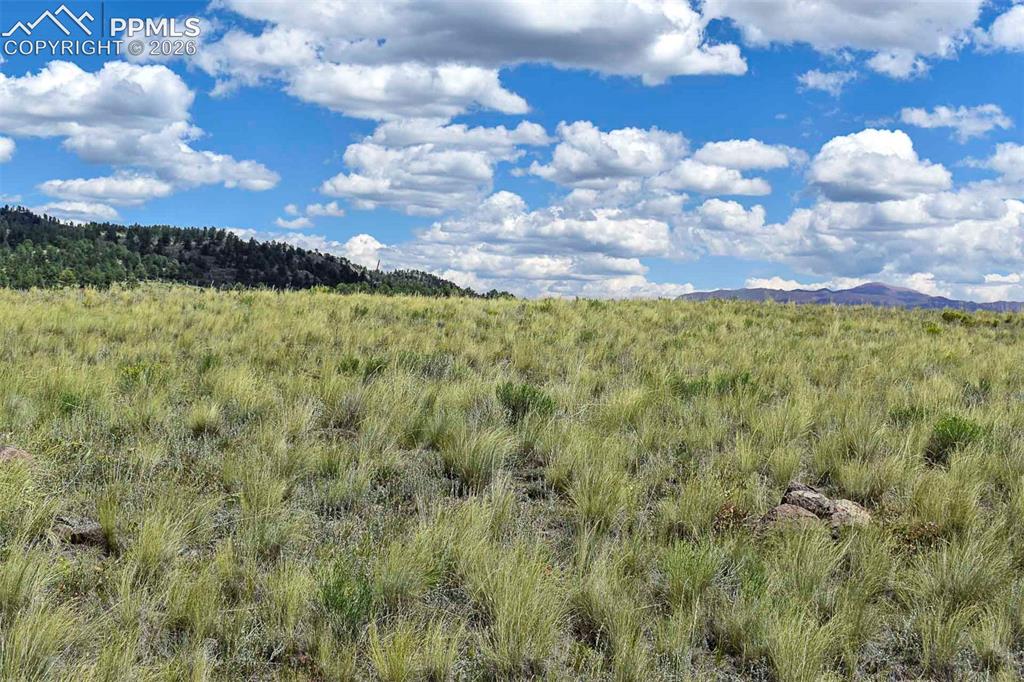 4680 County Road 71 Guffey, CO 80820 - Photo 15 of 15