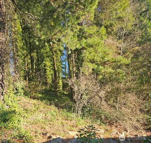 a view of a yard with a tree