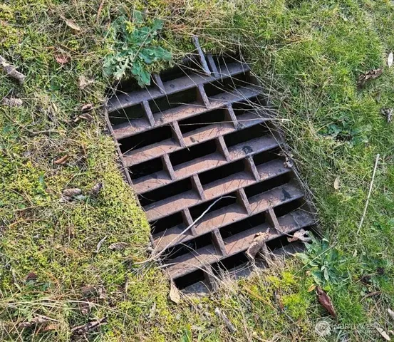 a view of a backyard of the house