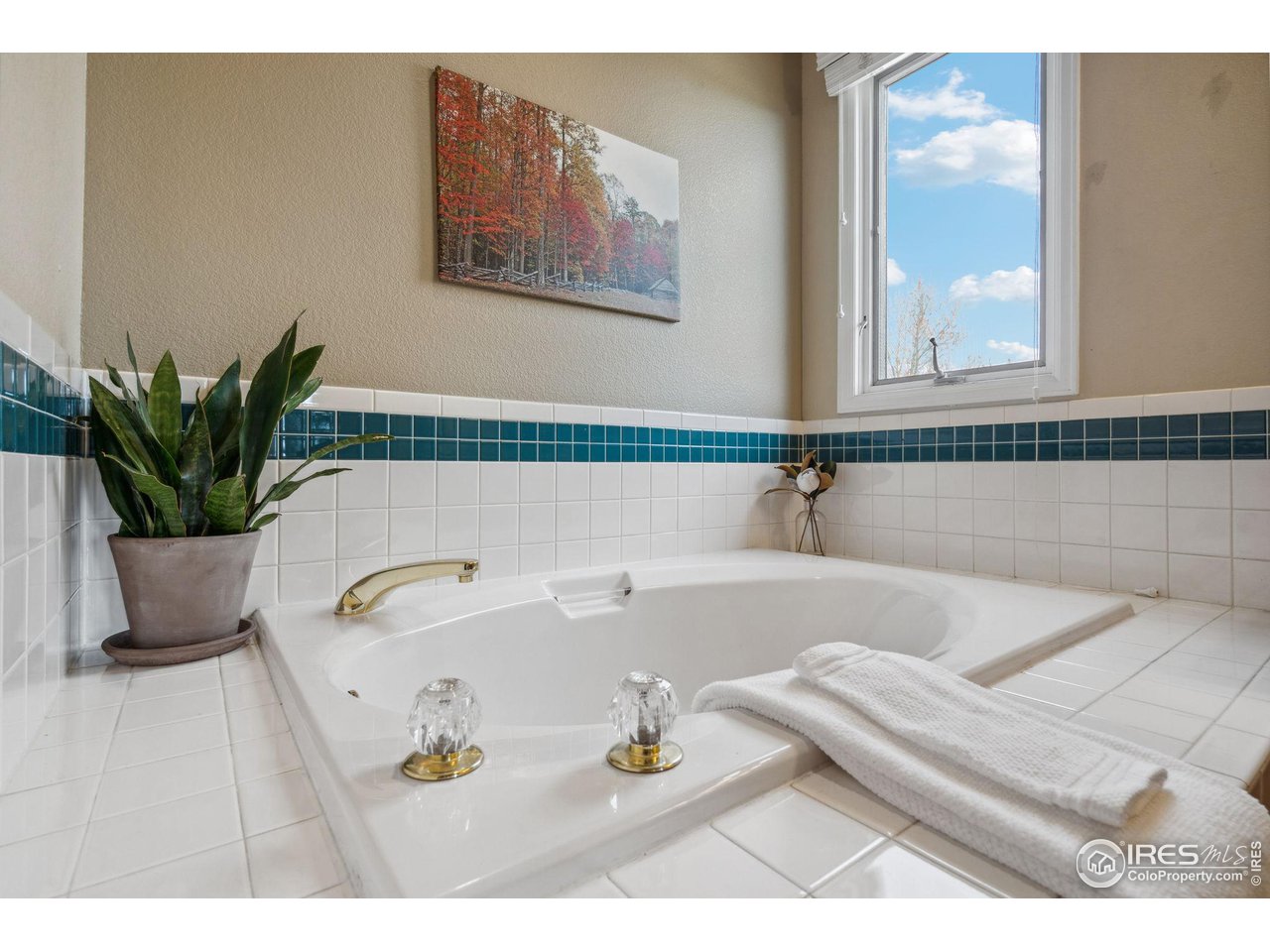 1618 Silvergate Road Fort Collins, CO 80526 - Photo 24 of 37 Garden tub for relaxing