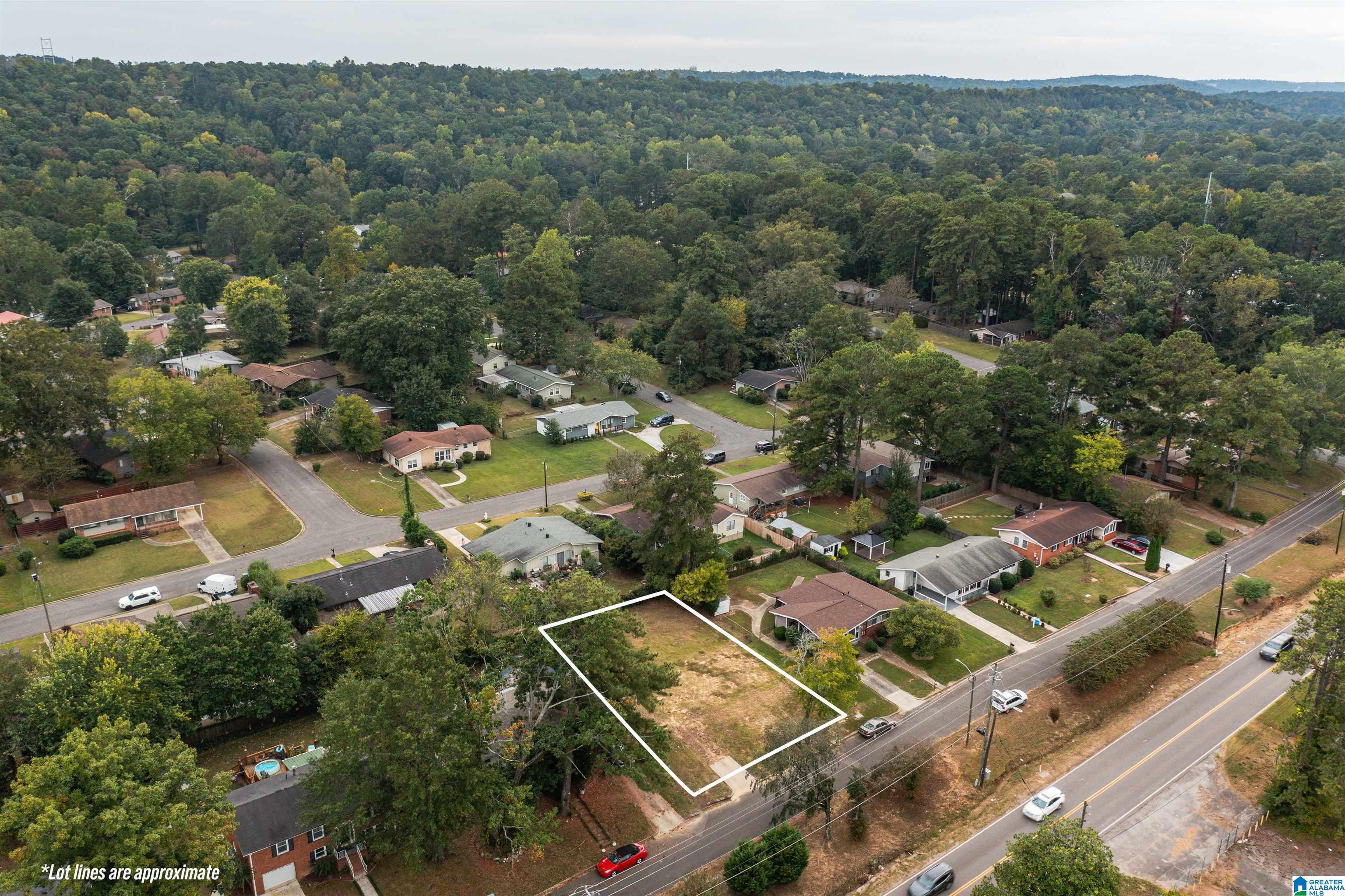 1821 Montclair Road, Unit 7 000 Birmingham, AL 35210 - Photo 9 of 12