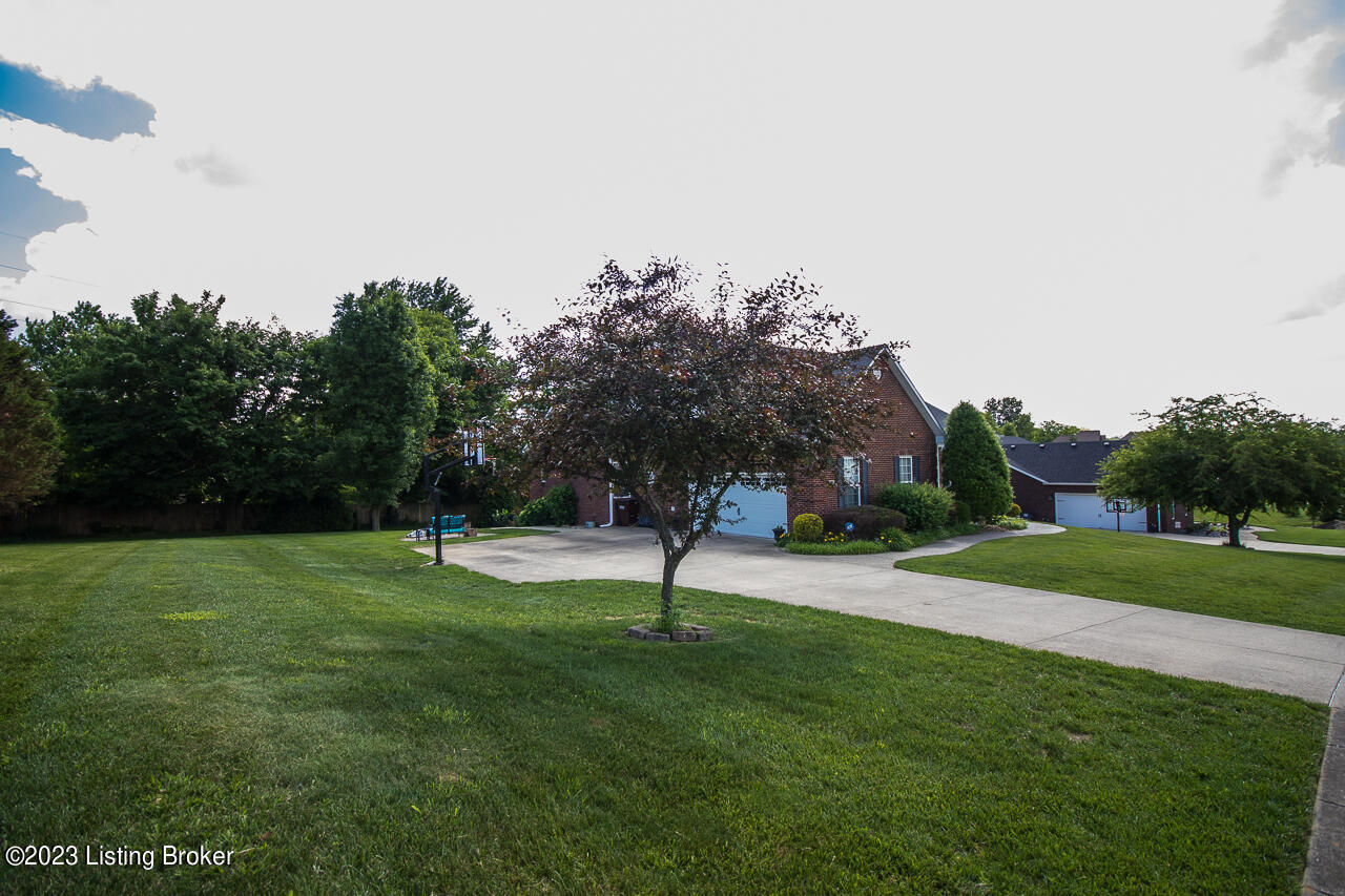 705 Freeman Lake Road Elizabethtown, KY 42701 - Photo 7 of 84 7H9A4834