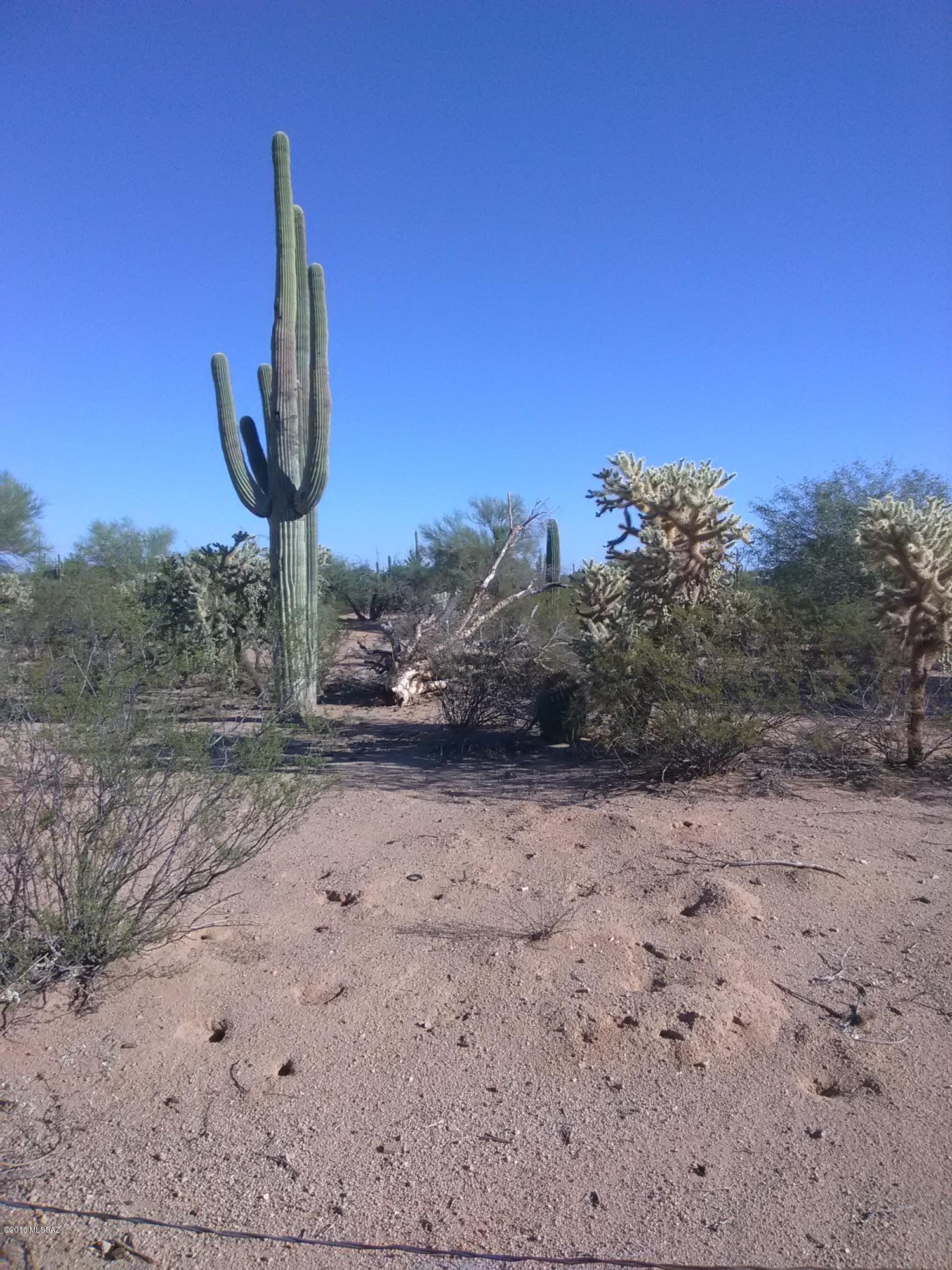 6410 North Sandario Road Tucson, AZ 85743 - Photo 6 of 7 Gallery Image 6