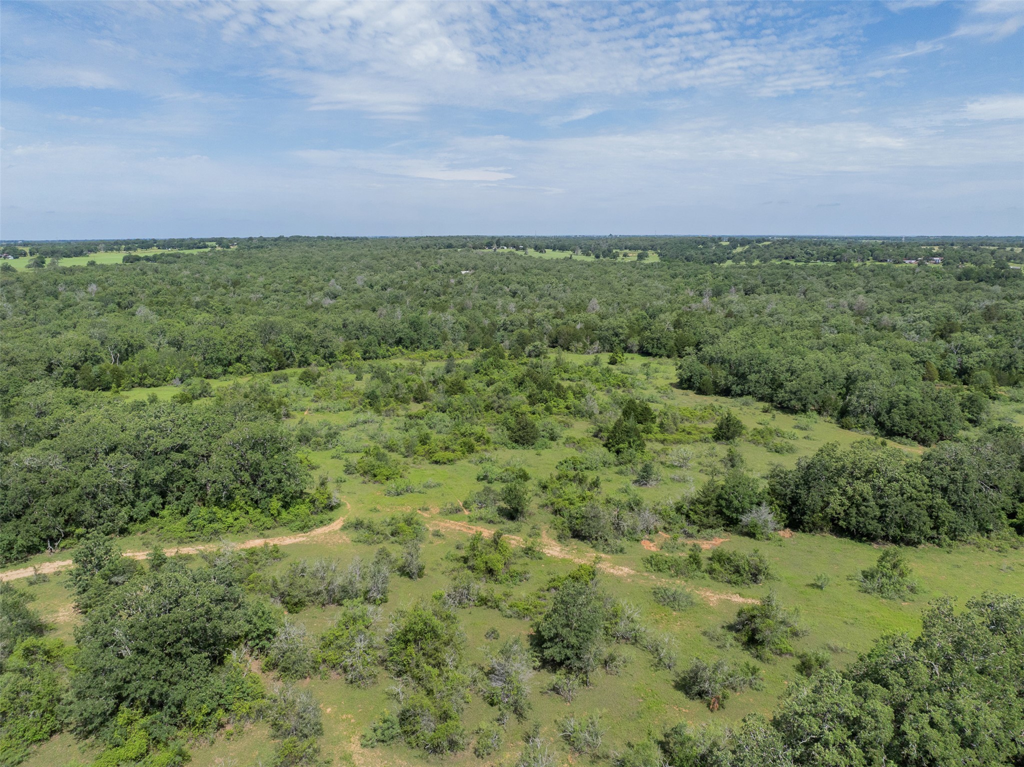 459 County Road 459 Road Thorndale, TX 76577 - Photo 27 of 35 a view of a field with tree and green space
