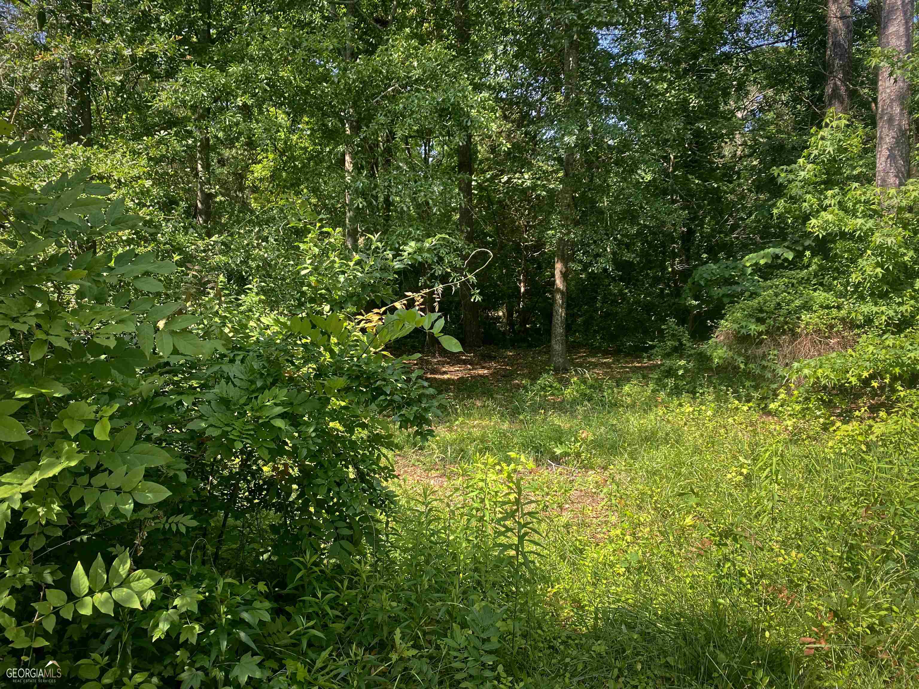 340 Midway Road Athens, GA 30605 - Photo 1 of 1 a view of outdoor space and a yard
