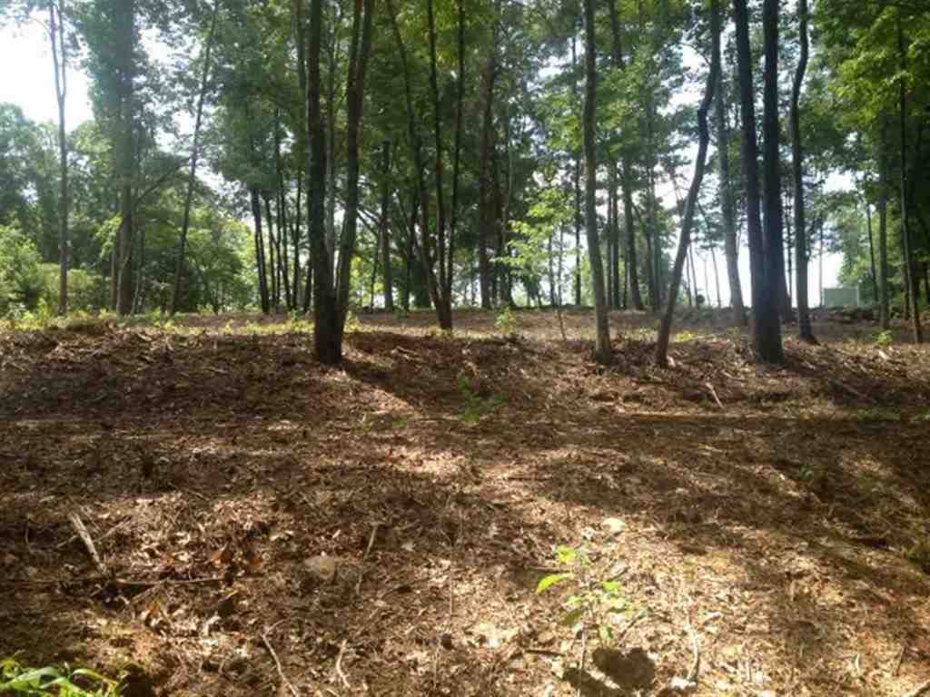 Lot 25 Laurel Ridge Seneca, SC 29678 - Photo 17 of 25 Gallery Image 17