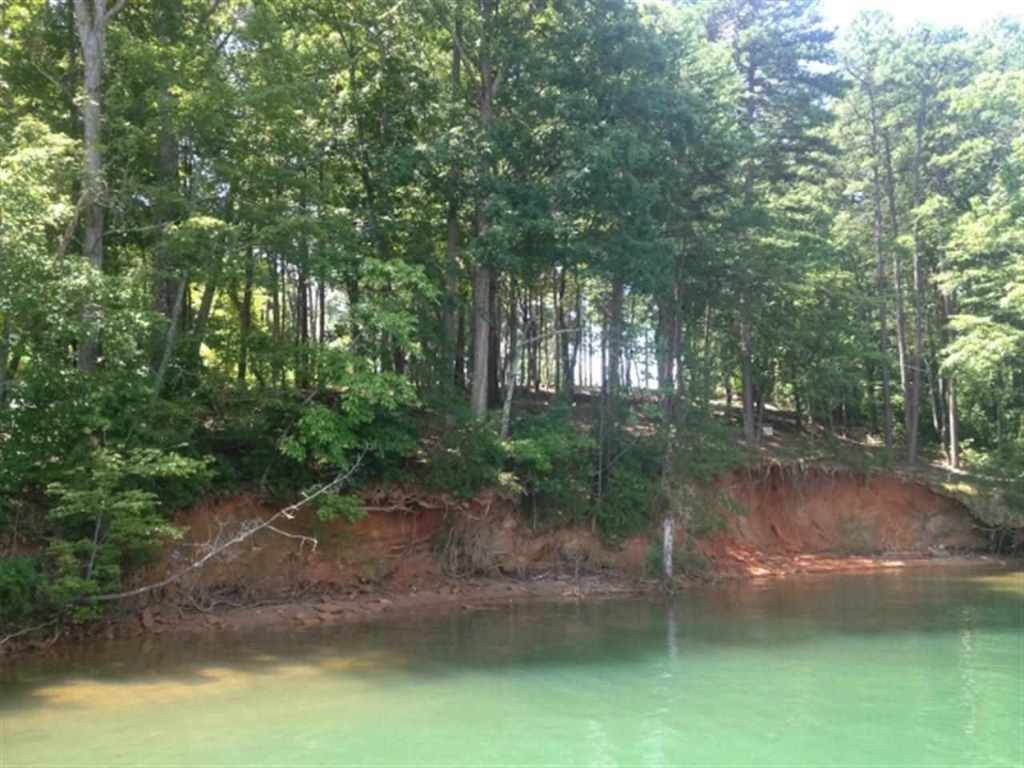 Lot 25 Laurel Ridge Seneca, SC 29678 - Photo 25 of 25 Gallery Image 25