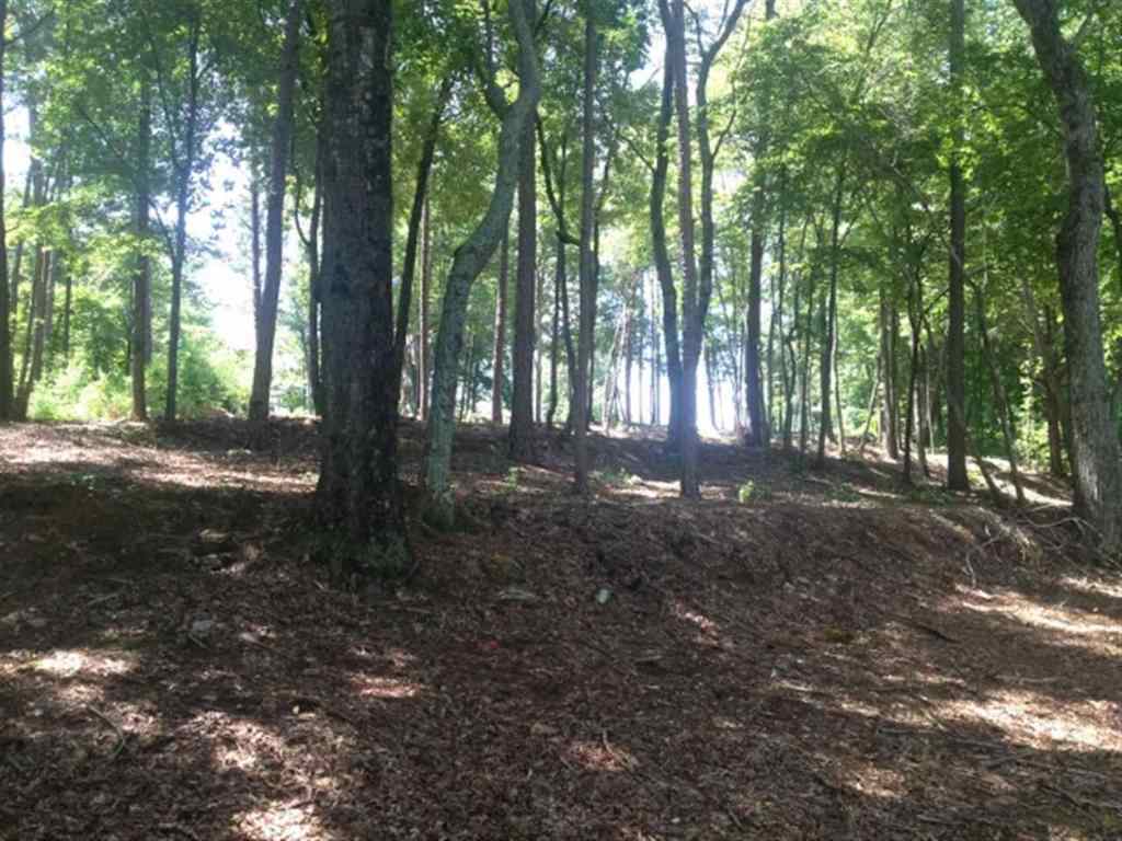 Lot 25 Laurel Ridge Seneca, SC 29678 - Photo 8 of 25 Gallery Image 8