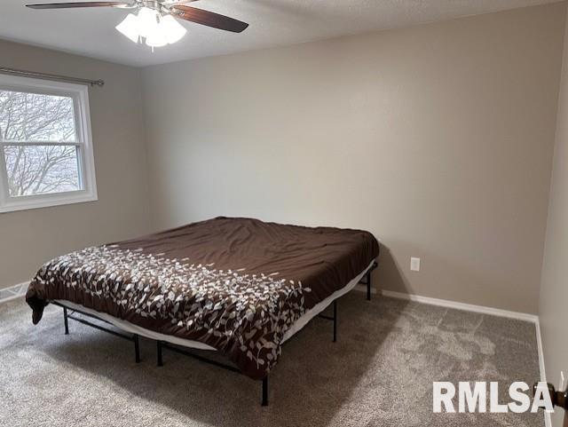 2113 Southbrooke Road Jacksonville, IL 62650 - Photo 16 of 37