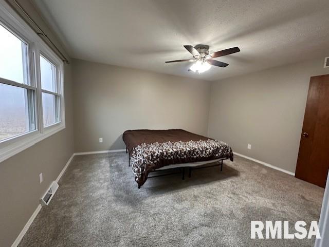 2113 Southbrooke Road Jacksonville, IL 62650 - Photo 17 of 37