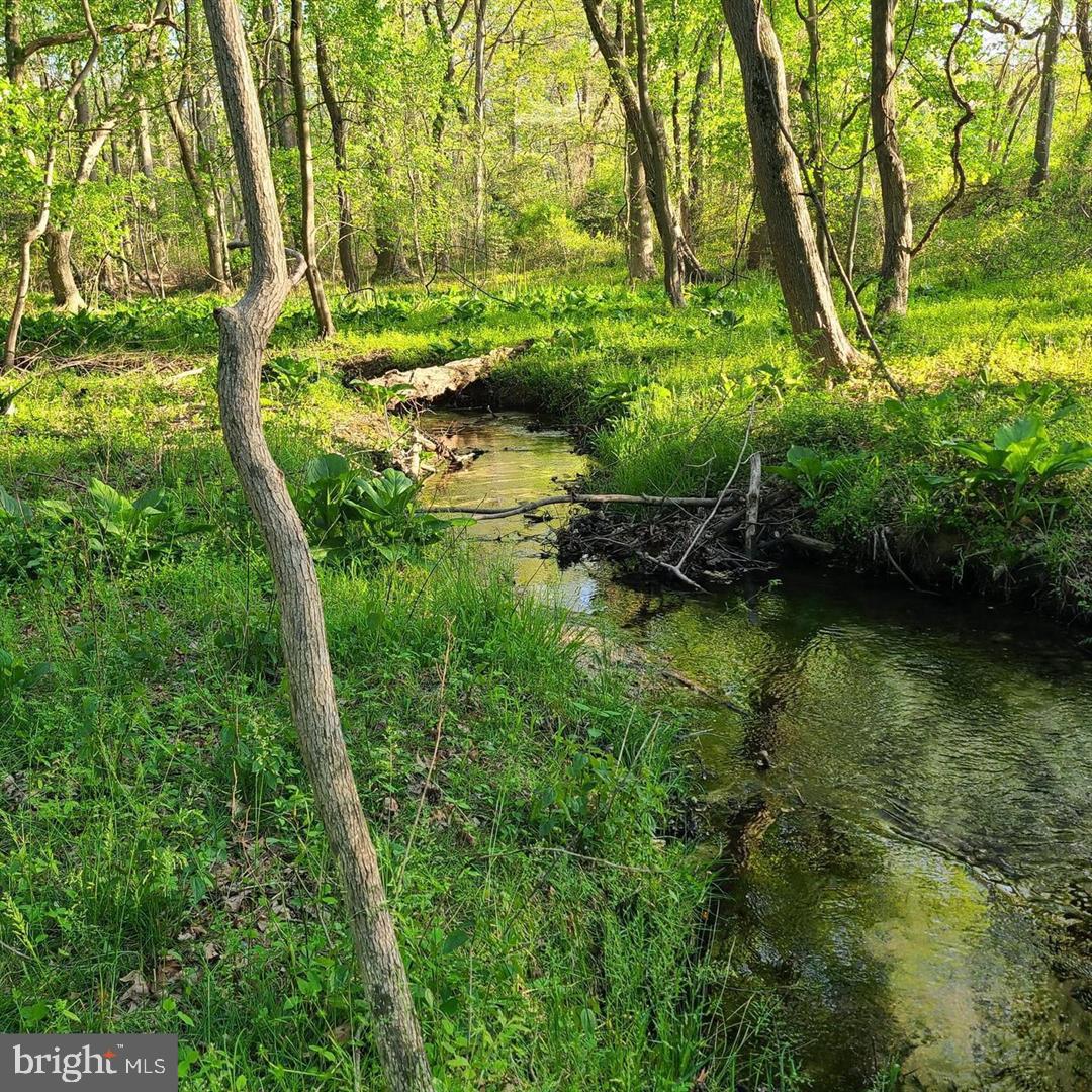 Anderson Residual Lot Anderson Residual Road Magnolia, DE 19962 - Photo 5 of 5 a view of lake