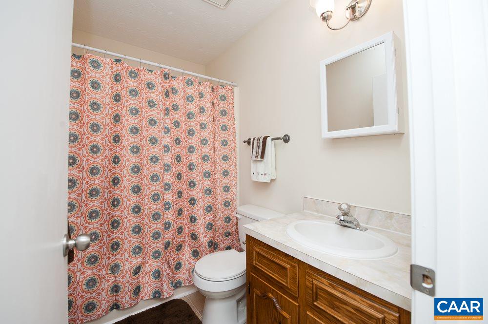 189 Stephens Loop Ruckersville, VA 22968 - Photo 20 of 20 a bathroom with a sink toilet and a mirror