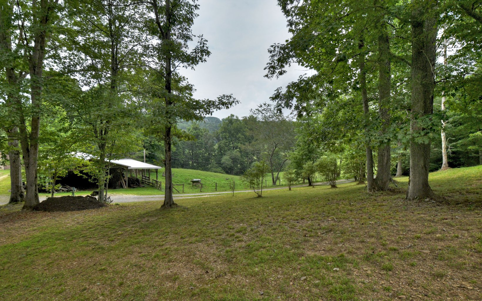 295 Beavers Farm Road Mineral Bluff, GA 30559 - Photo 4 of 4 Additional View