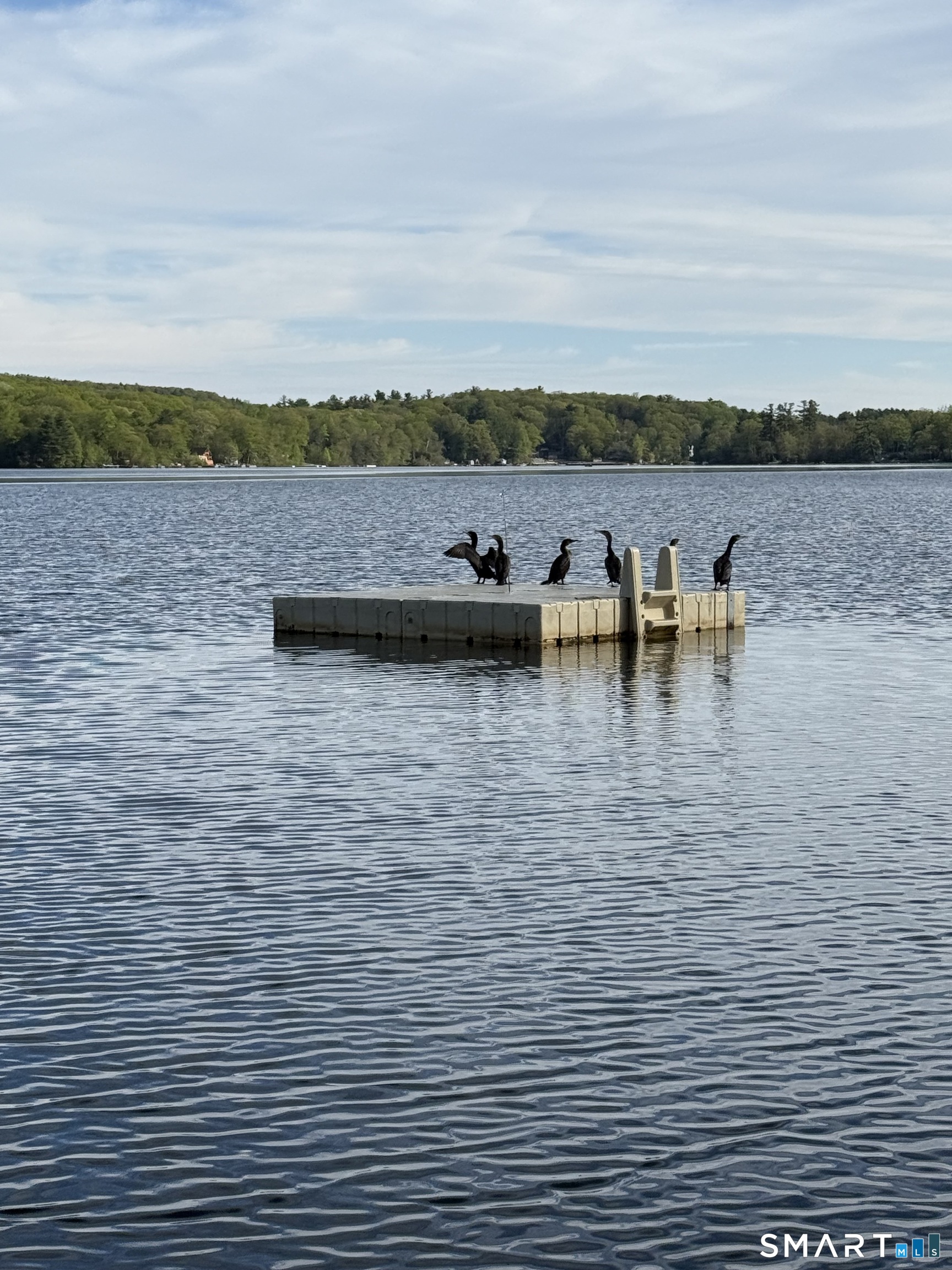 27 Dilliston Road New Hartford, CT 06057 - Photo 42 of 43 a view of a lake with houses in the back