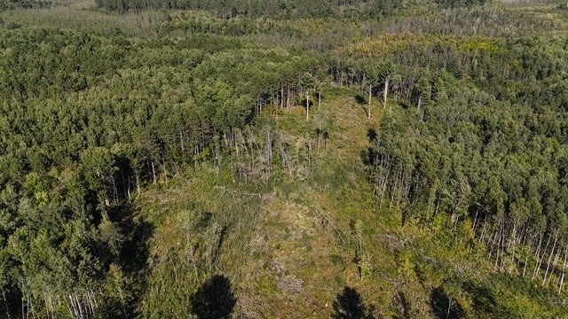 0 Mack Lake Road Trego, WI 54888 - Photo 21 of 26 Gallery Image 21