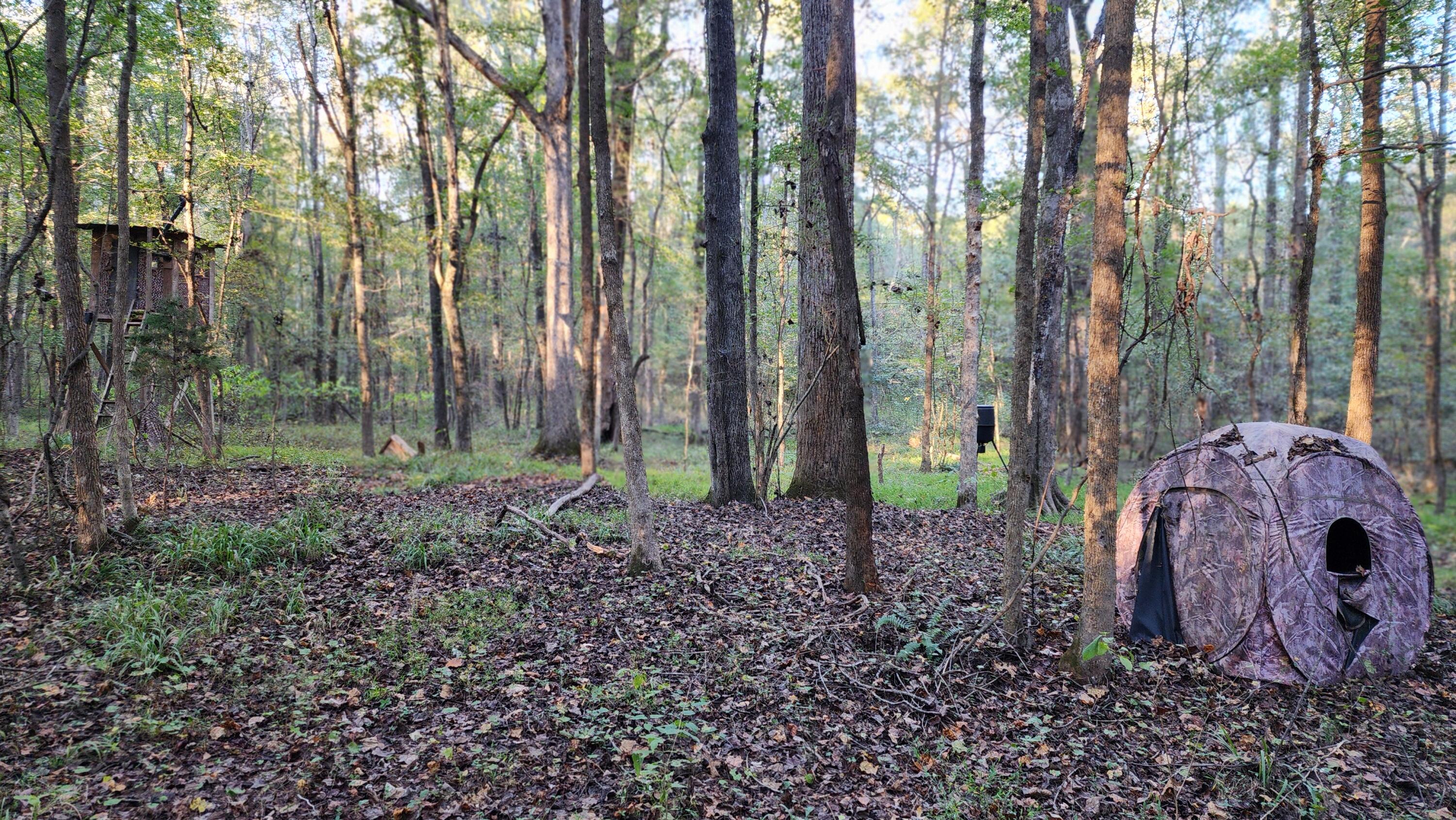 715 Oconee Forest Road Monticello, GA 31064 - Photo 46 of 49 20251013_180210