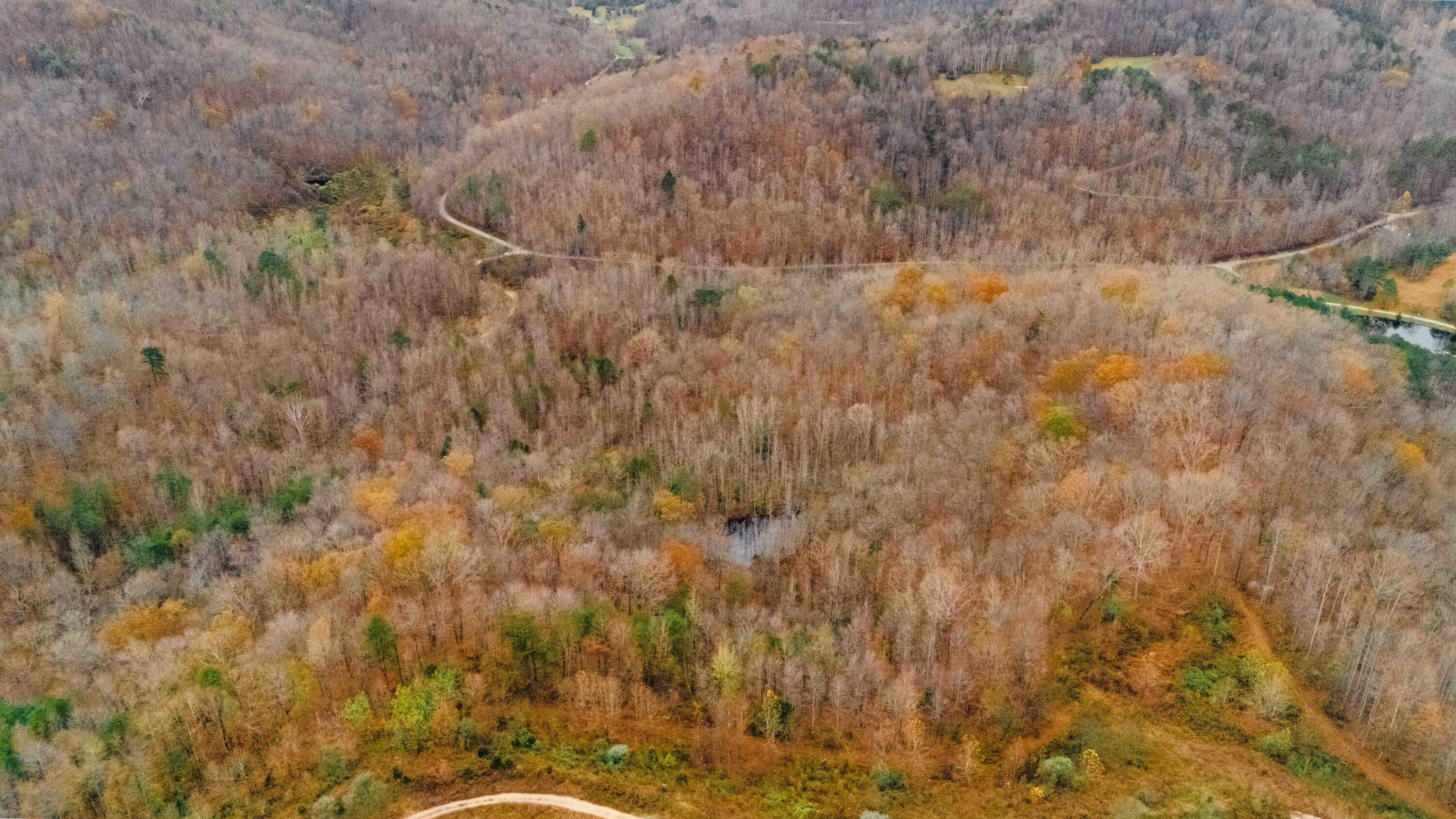 0 Maple Creek Road Williamsburg, KY 40769 - Photo 31 of 35 Meadow Creek 2