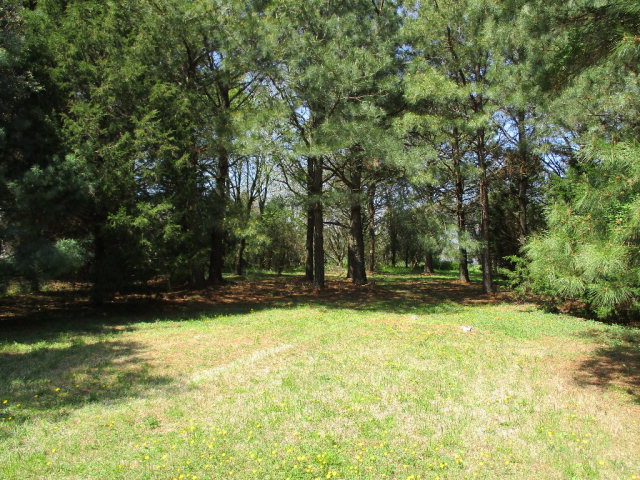 113 Martin Road, Unit 113 Danville, VA 24541 - Photo 8 of 10