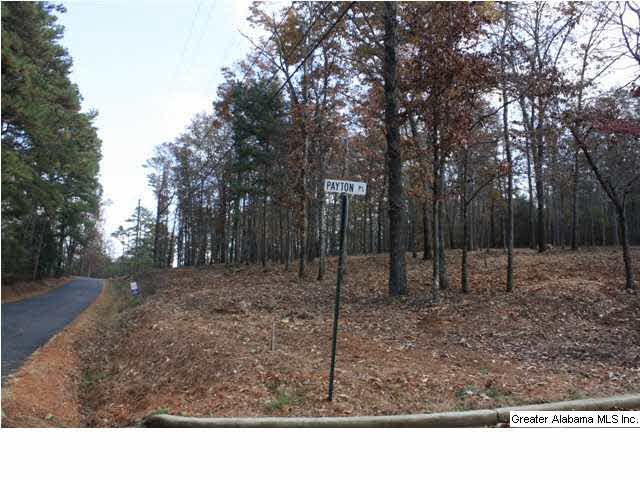 Peyton Place, Unit 3 Weaver, AL 36277 - Photo 12 of 40