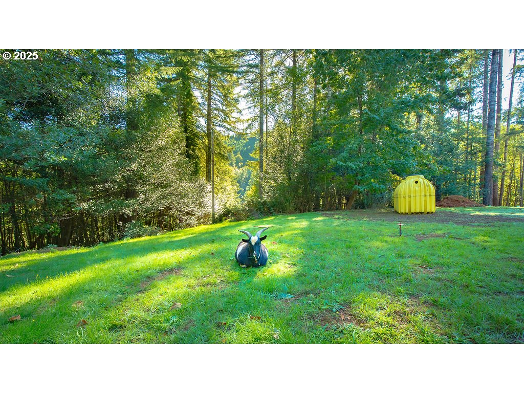 63450 Fairview Road Coquille, OR 97423 - Photo 27 of 37 a open area with trees in the background