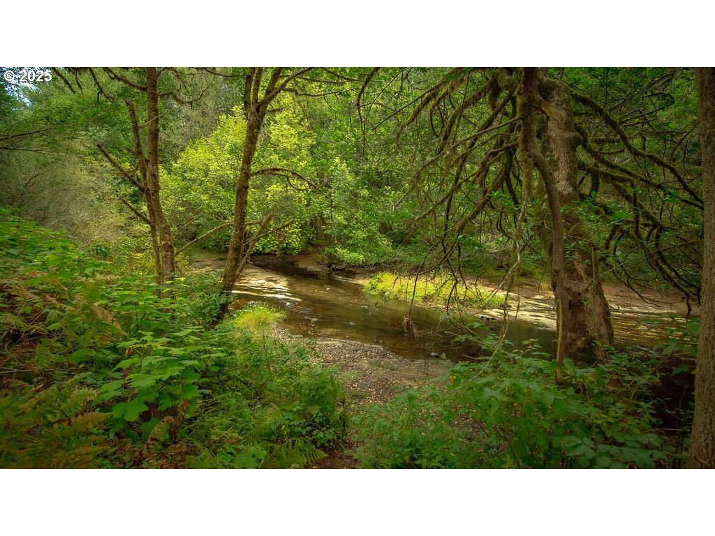 63450 Fairview Road Coquille, OR 97423 - Photo 32 of 37 a open area with yard