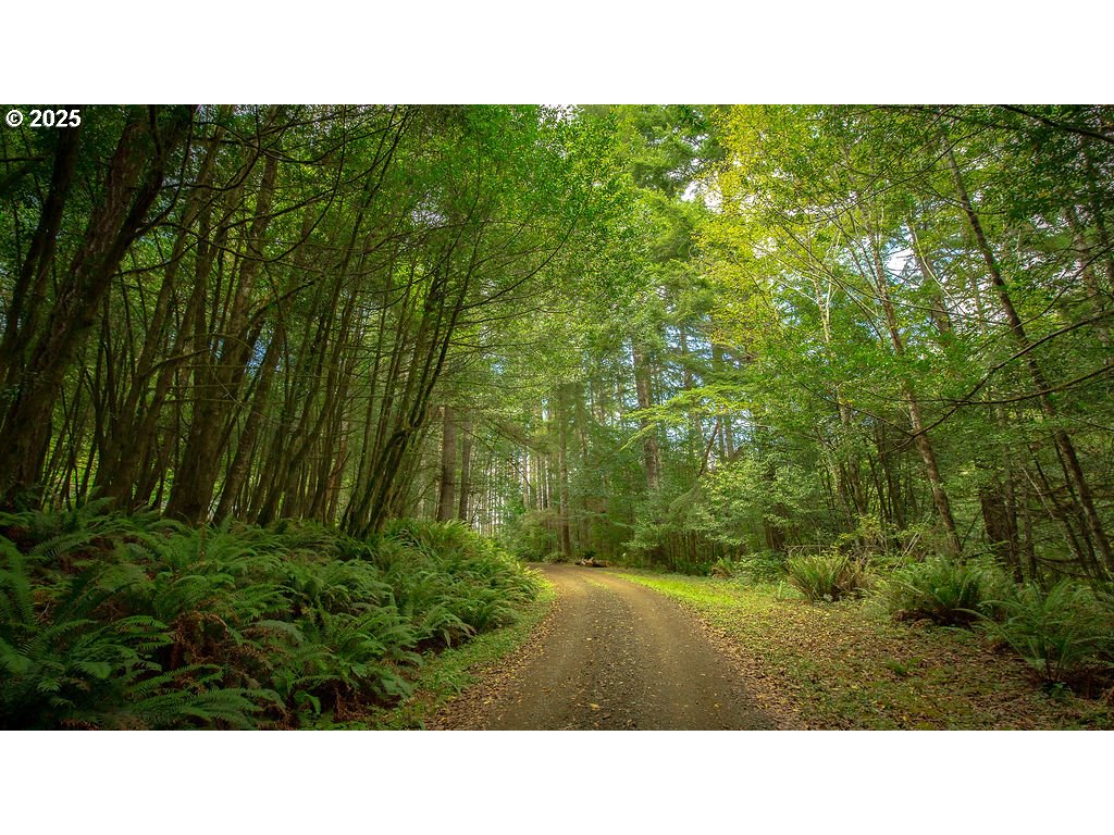 63450 Fairview Road Coquille, OR 97423 - Photo 37 of 37 a open area with green field
